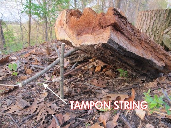 tampon_12 image tampon 12
