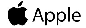 apple Corporate Team Building & Bonding  | On Purpose Adventures