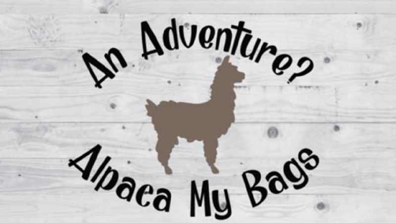 alpaea-my-bags-7edd6dd3 On Purpose Adventures Blog